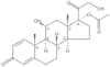 Prednisolone 17-acetate