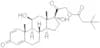 Prednisolone tebutate