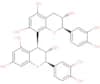 Procyanidin B3