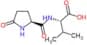 5-Oxo-L-prolyl-L-valine
