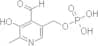 Pyridoxal 5'-phosphate