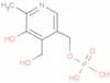 Pyridoxine 5′-phosphate