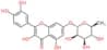 2-(3,4-dihydroxyphenyl)-3,5-dihydroxy-4-oxo-4H-chromen-7-yl 6-deoxy-alpha-L-mannopyranoside