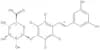 4-[(1E)-2-(3,5-Dihydroxyphenyl)ethenyl]phenyl-2,3,5,6-d<sub>4</sub> β-<span class="text-smallcaps"…