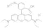 Rhodamine B isothiocyanate