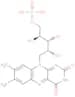 Riboflavin 5'-(dihydrogen phosphate)