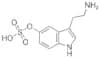 SEROTONIN O-SULFATE