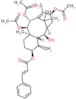 (2R,4S,7R,8R,9R,12S,14R,15R)-4,7,8-tris(acetyloxy)-12-{[(2E)-3-phenylprop-2-enoyl]oxy}-13,20-dideh…