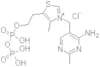 Thiamine pyrophosphate