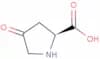 4-Oxo-L-proline