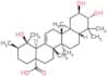 Tormentic acid
