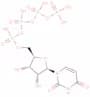uridine 5'-tetraphosphate