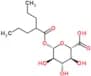 Valproic acid glucuronide