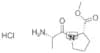 H-Ala-Pro-OMe . HCl