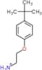 2-(4-tert-butylphenoxy)ethanaminium