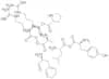 ALA-PRO-ARG-LEU-ARG-PHE-TYR