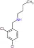 N-(2,4-dichlorobenzyl)butan-1-amine