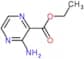 ethyl 3-aminopyrazine-2-carboxylate