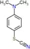 4-(Dimethylamino)phenyl thiocyanate