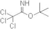 tert-Butyl 2,2,2-trichloroacetimidate