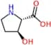 trans-3-Hydroxy-L-proline