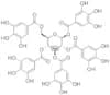 Penta-O-galloyl-β-D-glucose