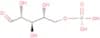 Ribose 5-phosphate