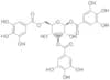 1,3,6-Tri-O-galloyl-β-D-glucose