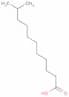 10-Methylundecanoic acid