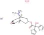 Tiotropium bromide monohydrate