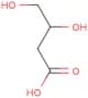 3,4-dihydroxybutanoic acid