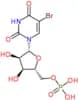 5-Bromo-5′-uridylic acid