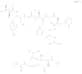 L-Alanine,L-alanyl-L-arginyl-L-lysyl-L-arginyl-L-a-glutamyl-L-arginyl-L-threonyl-L-tyrosyl-L-seryl…