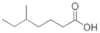 5-METHYLHEPTANOIC ACID
