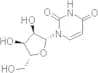 L-Uridine