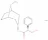 Hyoscyamine hydrobromide
