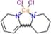 dichlorocopper; 2-piperidin-1-id-2-yl-6H-pyridin-1-ide
