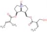 (7-{[(2E)-2-methylbut-2-enoyl]oxy}-4-oxidohexahydro-1H-pyrrolizin-1-yl)methyl (2Z)-2-(hydroxymethy…