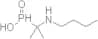 P-[1-(Butylamino)-1-methylethyl]phosphinic acid