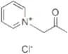 N-Acetonylpyridinium chloride