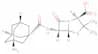 AMANTOCILLIN