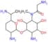2-amino-5-[glycyl(methyl)amino]-3,4,6-trihydroxycyclohexyl 2,6-diamino-2,3,4,6,7-pentadeoxyheptopy…