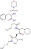 N-[(2S)-1-{[(2S,3S,5S)-5-(butylcarbamoyl)-1-cyclohexyl-3-hydroxy-6-methylheptan-2-yl]amino}-1-oxop…