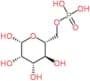 Mannose 6-phosphate