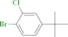 1-Bromo-2-chloro-4-tert-butylbenzene