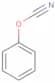 Phenyl cyanate