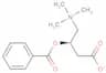 benzoylcarnitine