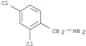 2,4-Dichlorobenzenemethanamine
