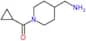 [4-(Aminomethyl)-1-piperidinyl]cyclopropylmethanone