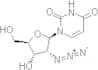 2′-Azido-2′-deoxyuridine